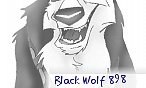 Black Wolf 898