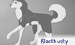 blackhusky