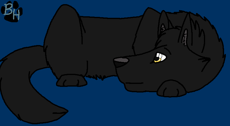 Koda