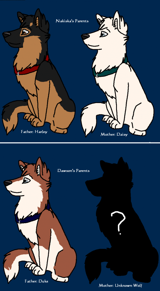 The Big Dogs' Parents