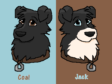 Coal & Jack