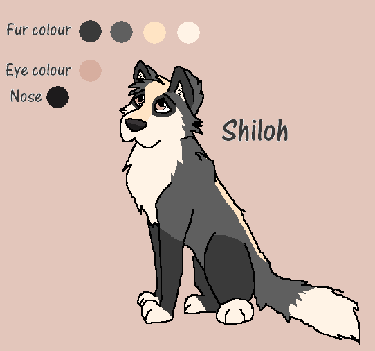 Shiloh Character Sheet