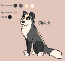 Shiloh Character Sheet