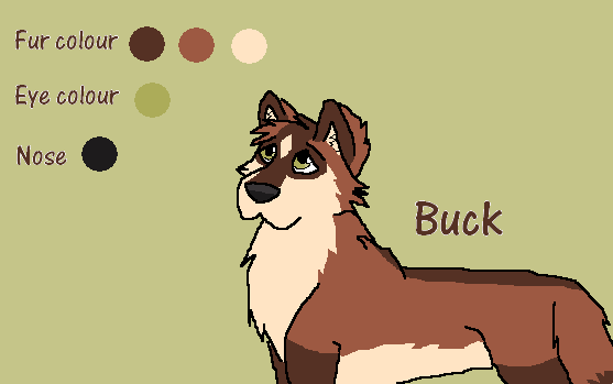 Buck Character Sheet