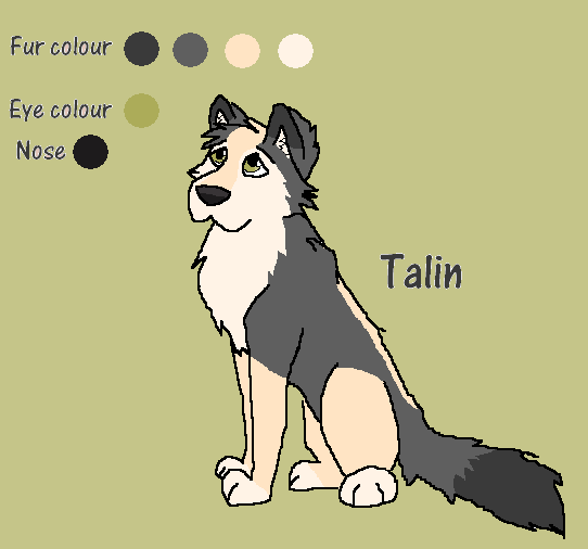 Talin Character Sheet