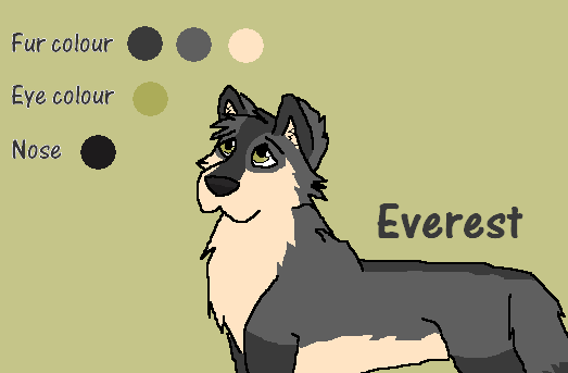 Everest Character Sheet