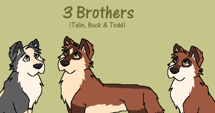 3 Brothers