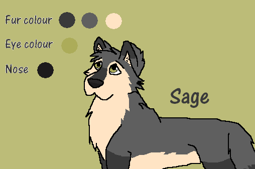 Sage Character Sheet