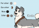 Koda Character Sheet