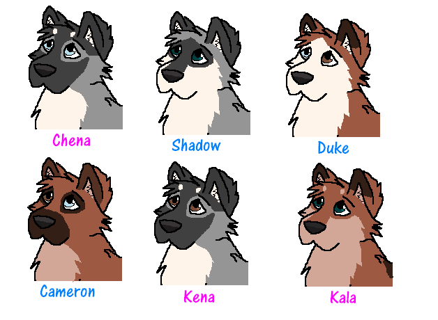 Hunter & Koda's Pups