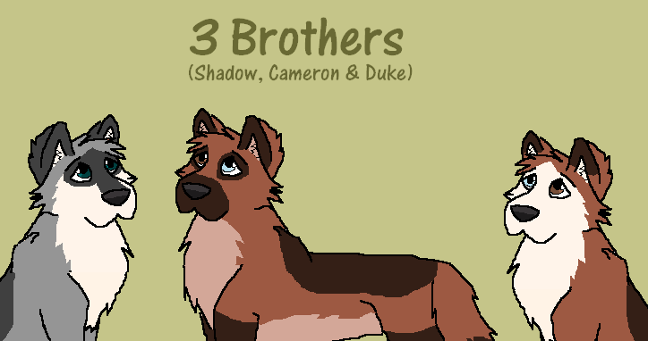 3 Brothers 