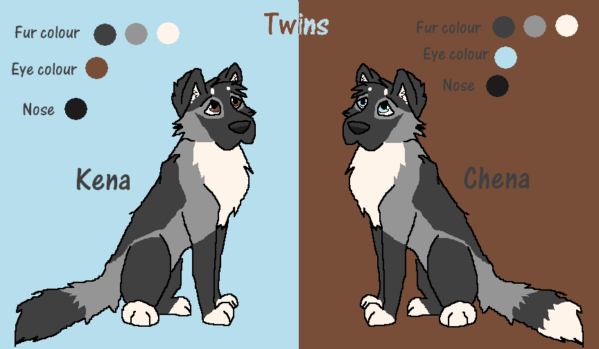 Twins Kena & Chena Character Sheet