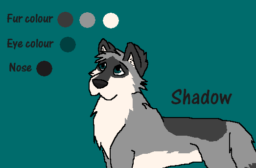 Shadow Character Sheet