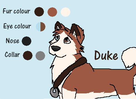 Duke Character Sheet