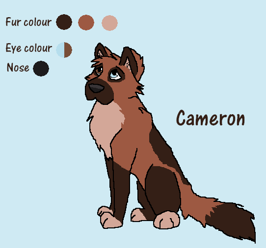 Cameron Character Sheet