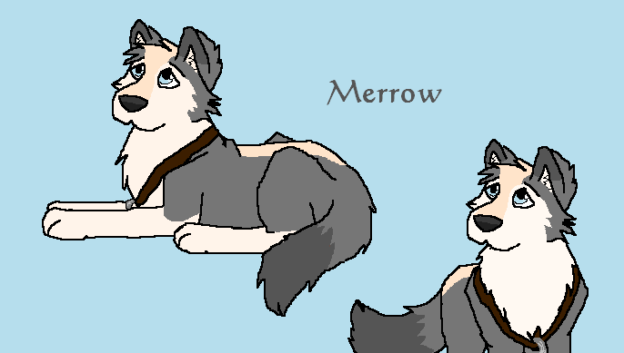 New Character Merrow