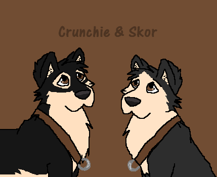 Brothers of the chocolate bar litter
