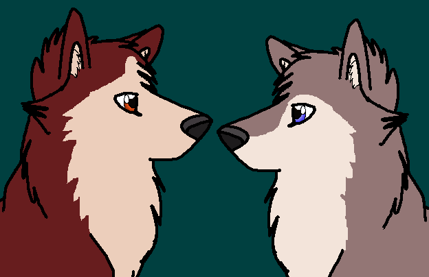 Kodi & Dusty