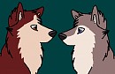 Kodi & Dusty