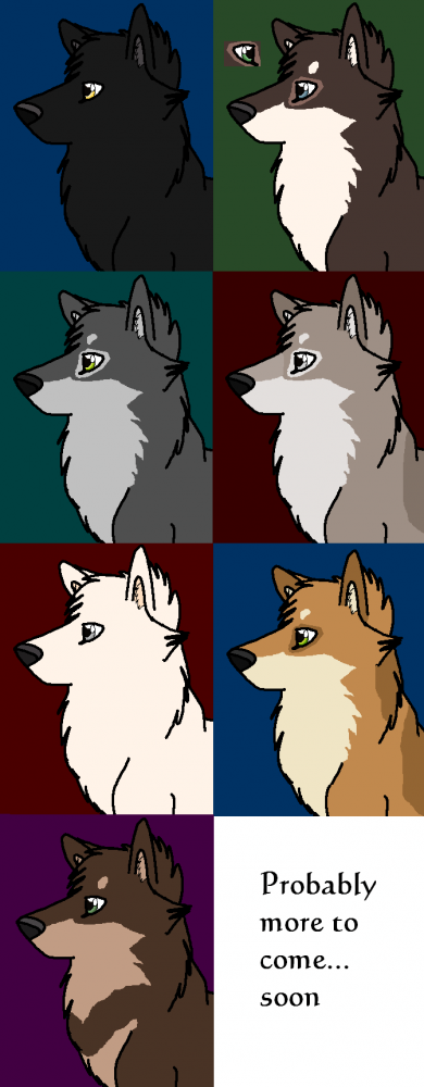 The Northern Light Pack