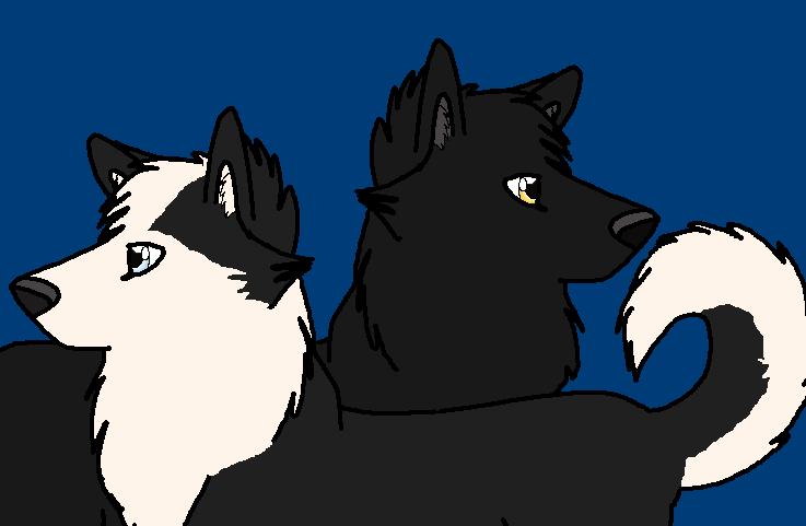 The Leaders