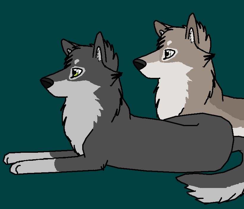 Kaya & Timber