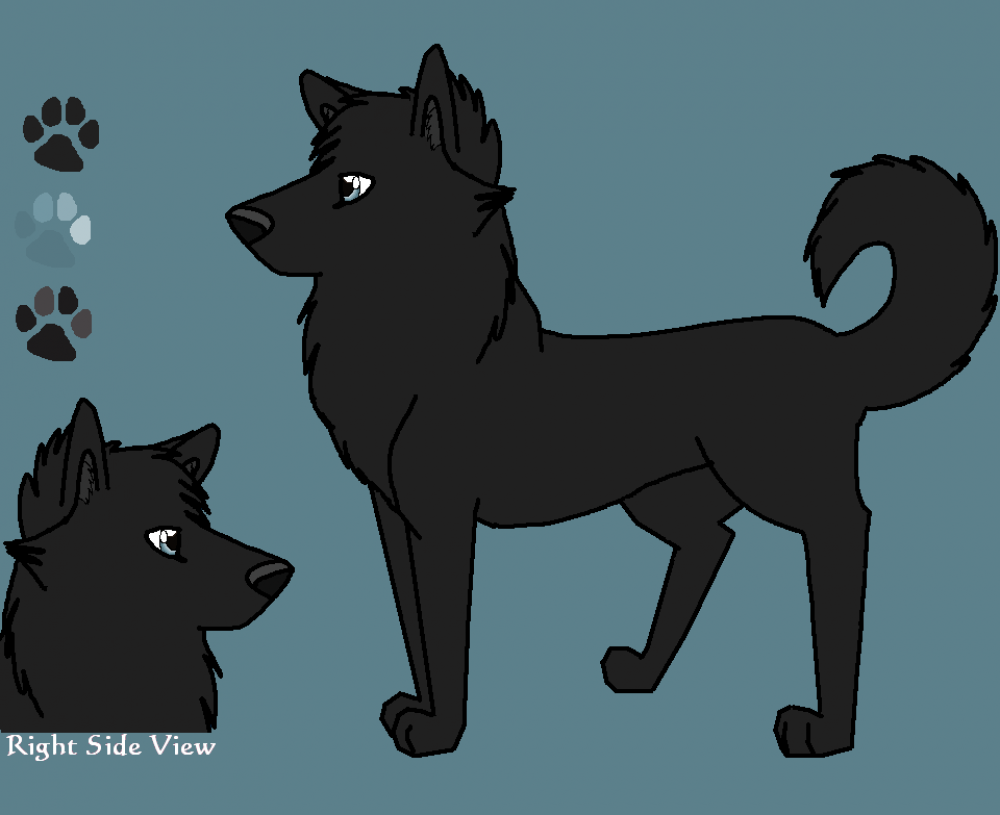 My New Fursona River