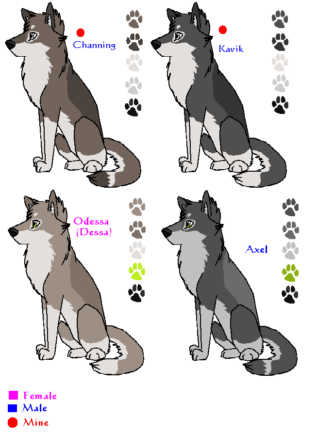 Kaya & Timber's Pups (some up for adoption)