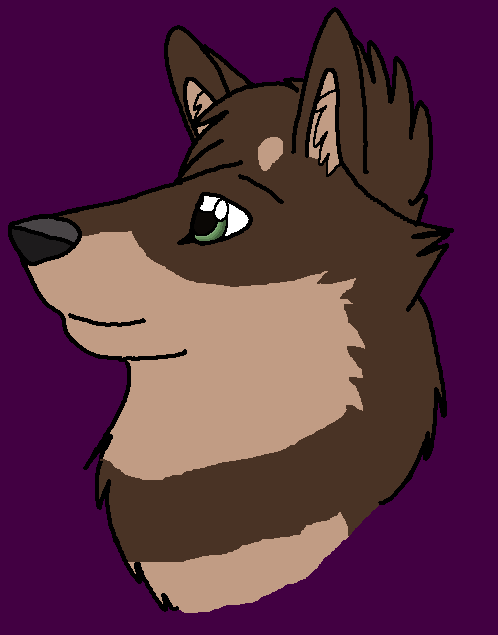 Echo
