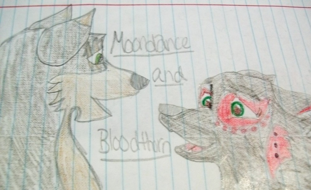 Blood and Moon
