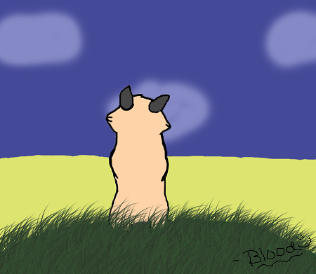 Kat on a hill. Random gift for Hazel Kat