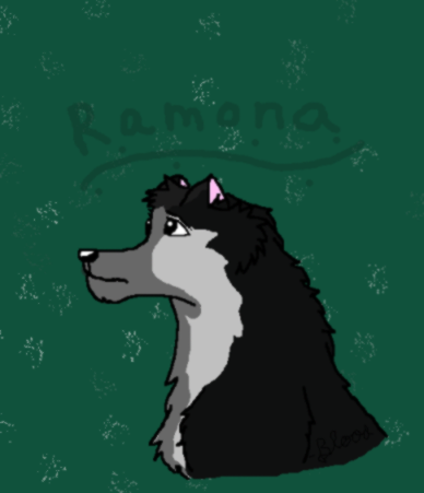Ramona gift for Ramona's Rose