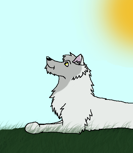 Aniu 