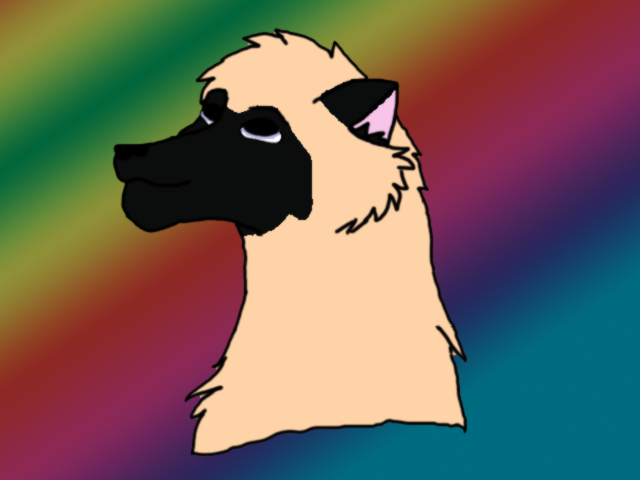 Birthday gift for Kat