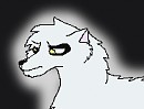 Aniu avatar 