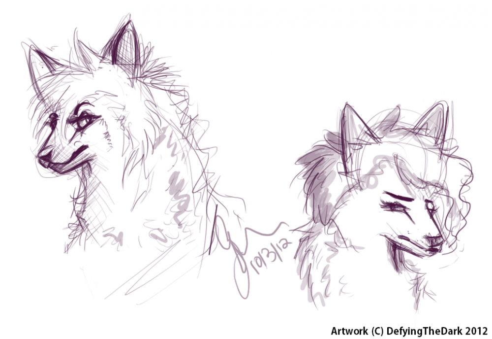 Sketches