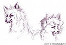 Sketches