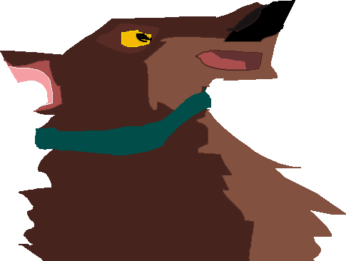New char