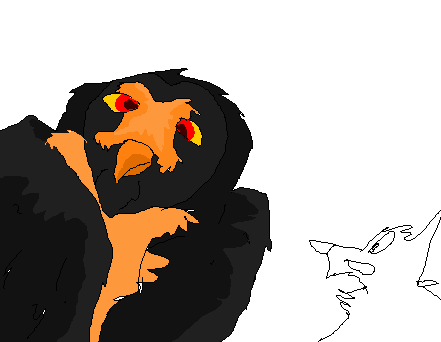 Riot got owlified O3o