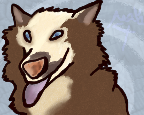 Trololol Dog >8U