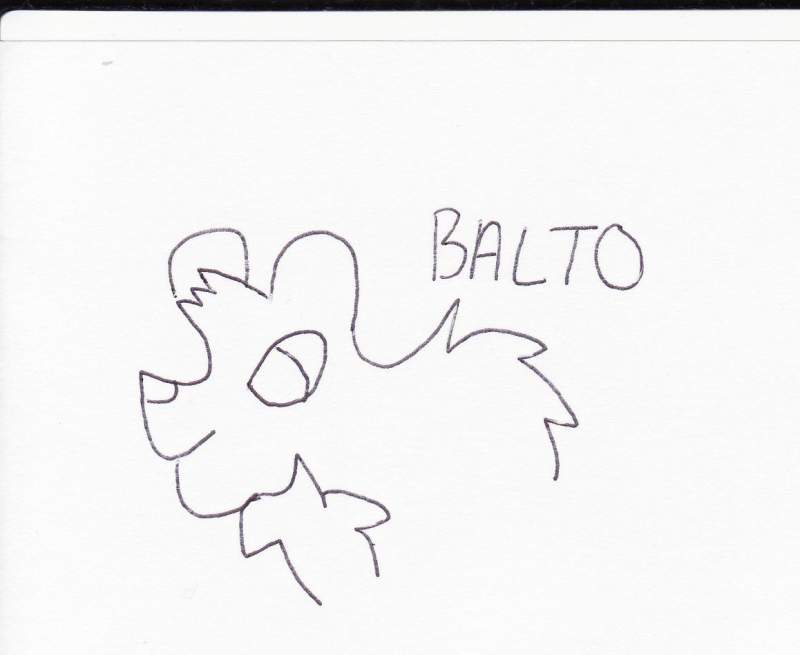 BALTO!!!!