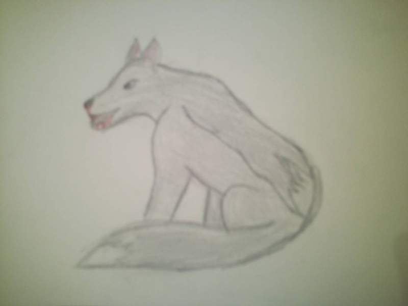 balto