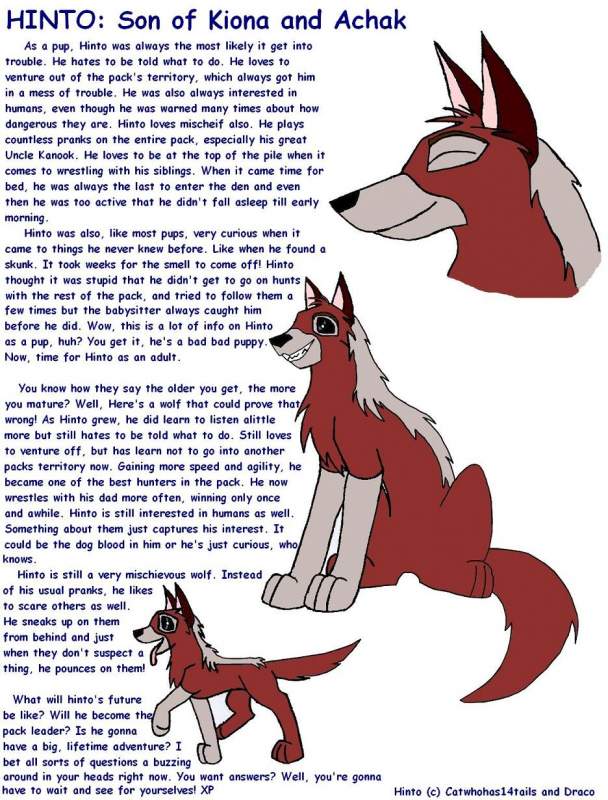 Hinto for Cat and Draco's contest
