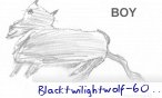 blacktwilightwolf_6019