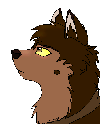 Cora