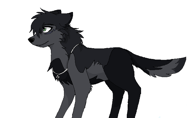 Blackie x3