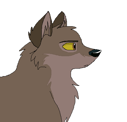 Balto