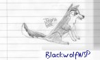 BlackwolfWSP