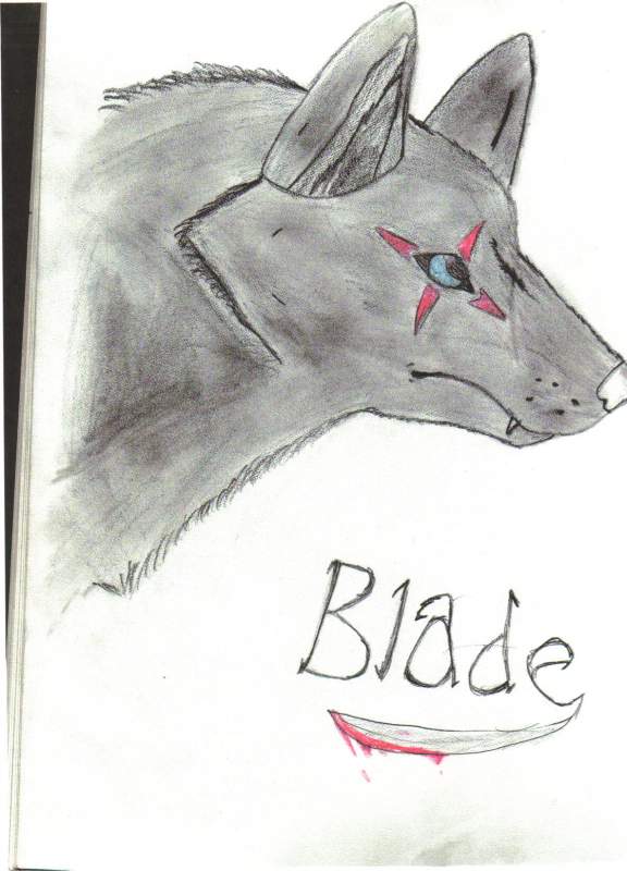 Blade
