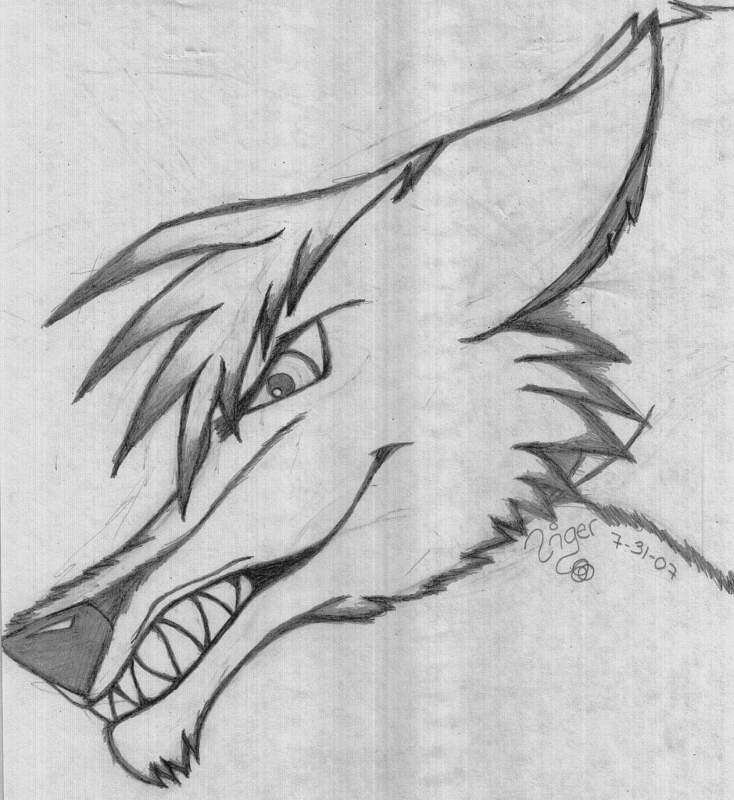 Wolf